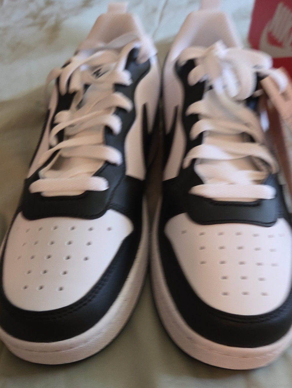 Nike Youth Court Borough White and Black